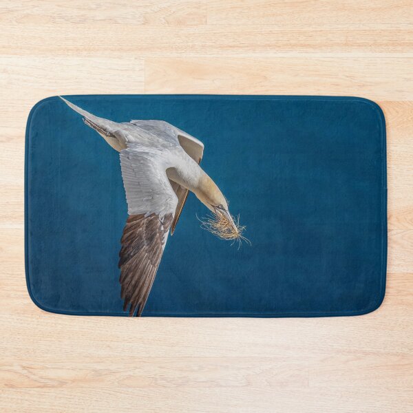 Item preview, Northern Gannet designed and sold by AliMarleyPhoto.