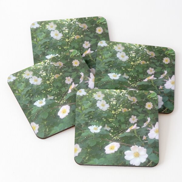 Item preview, Rosehip Flower. Flowering rosehip bush on a sunny summer day, close-up. Delicately pink flowers on a branch of rose hips. designed and sold by paolboa.