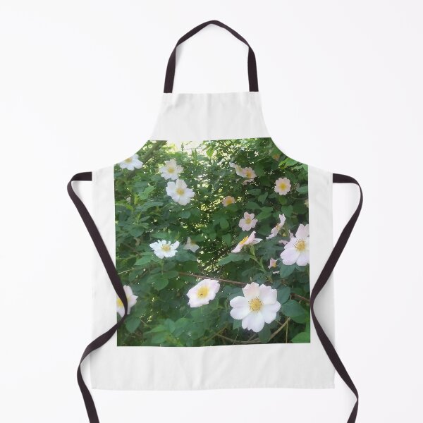 Item preview, Rosehip Flower. Flowering rosehip bush on a sunny summer day, close-up. Delicately pink flowers on a branch of rose hips. designed and sold by paolboa.
