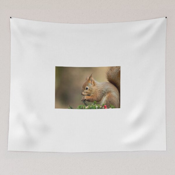 Item preview, Red Squirrel designed and sold by Sue Robinson.