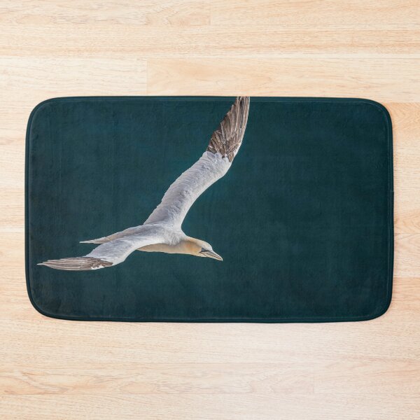 Item preview, Northern Gannet designed and sold by AliMarleyPhoto.