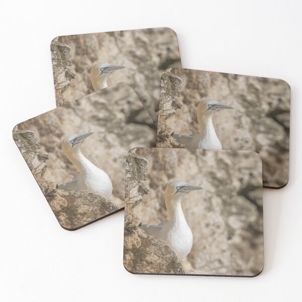 Item preview, Northern Gannet designed and sold by AliMarleyPhoto.