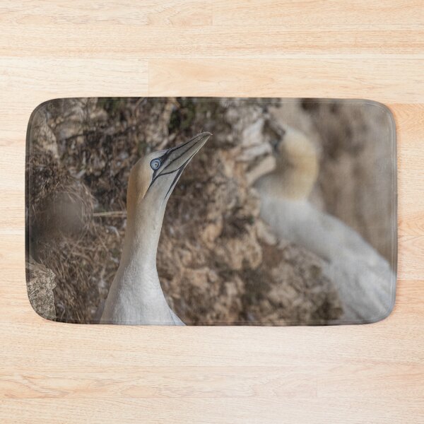 Item preview, Northern Gannet designed and sold by AliMarleyPhoto.