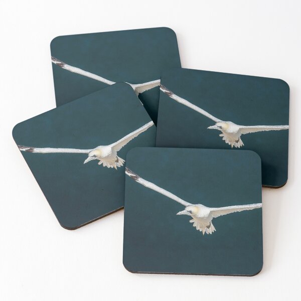 Item preview, Northern Gannet designed and sold by AliMarleyPhoto.