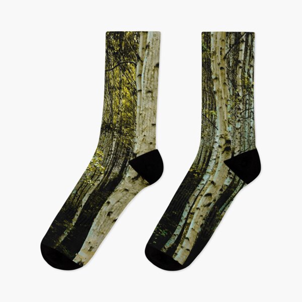 Item preview, Autumn birch forest foliage designed and sold by kyoungwon Woo.