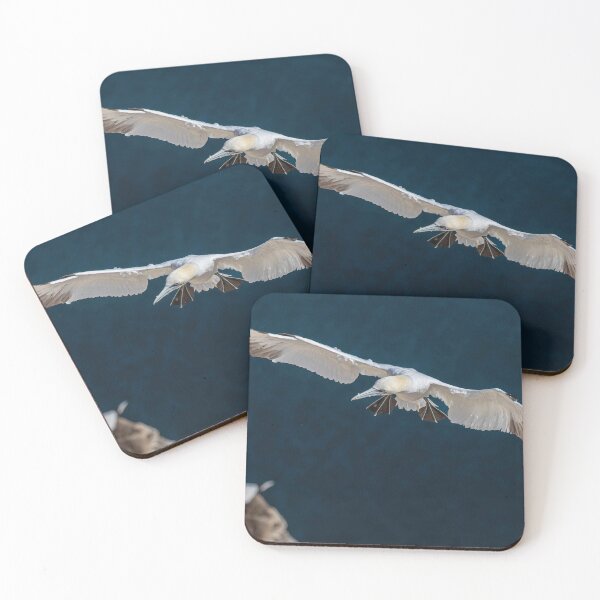 Item preview, Northern Gannet designed and sold by AliMarleyPhoto.