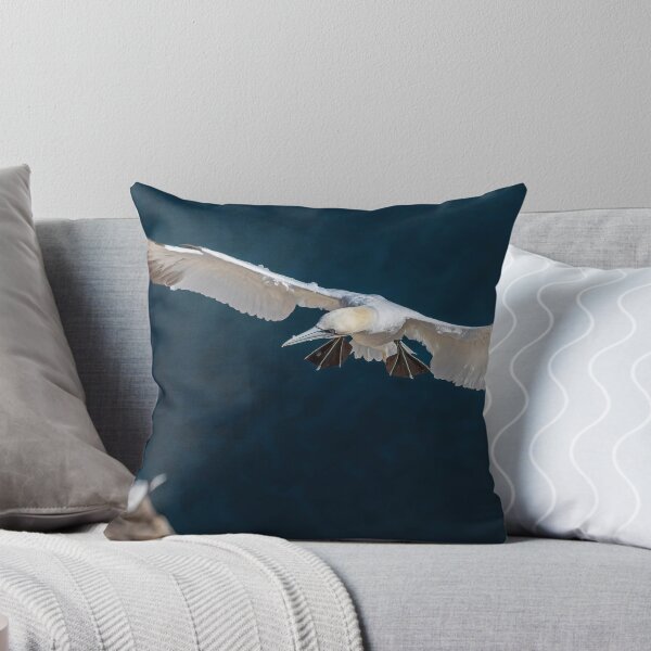 Item preview, Northern Gannet designed and sold by AliMarleyPhoto.