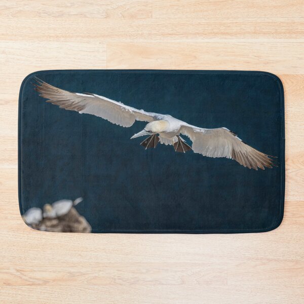 Item preview, Northern Gannet designed and sold by AliMarleyPhoto.