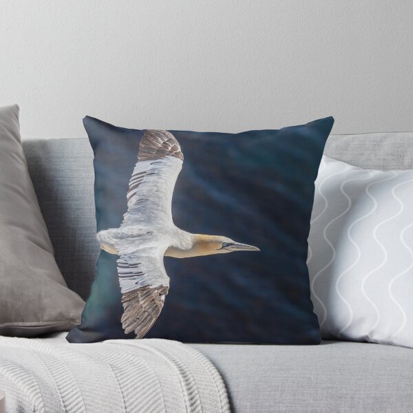 Item preview, Northern Gannet designed and sold by AliMarleyPhoto.