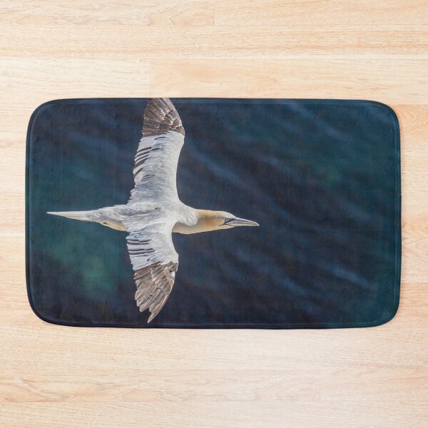 Item preview, Northern Gannet designed and sold by AliMarleyPhoto.