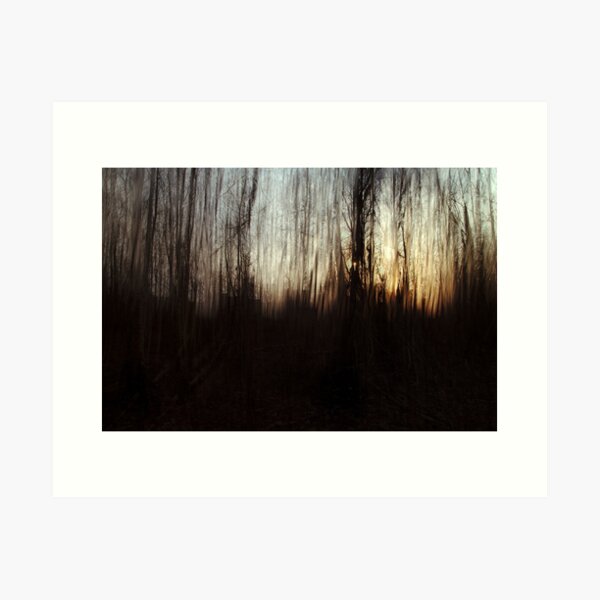 City skyline from trees Art Print