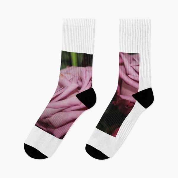 Item preview, Ranunculus pink flowers close-up background designed and sold by paolboa.