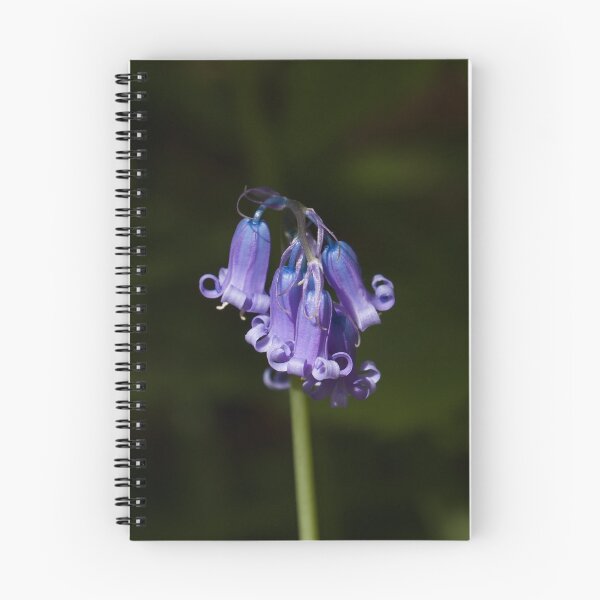 Item preview, Common English Bluebell Detail Portrait designed and sold by Sue Robinson.