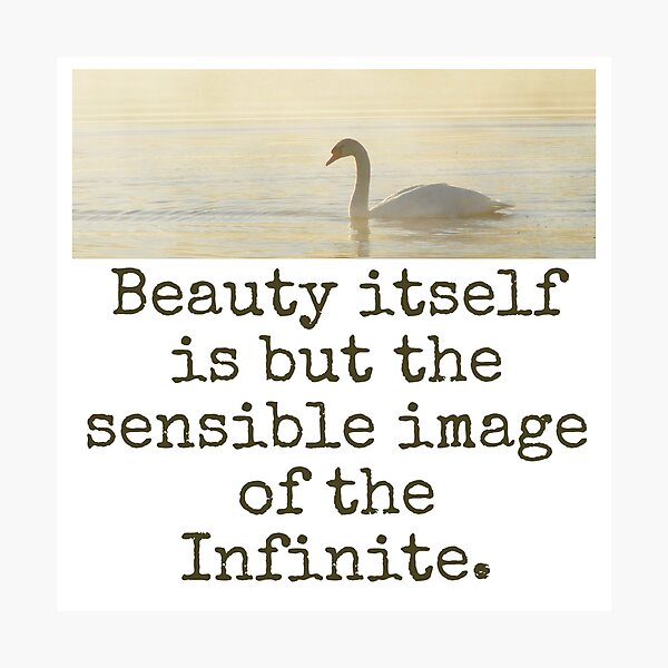 Item preview, Beauty Itself Is But The Sensible Image - Beauty Quote  designed and sold by CrankyOldDude.