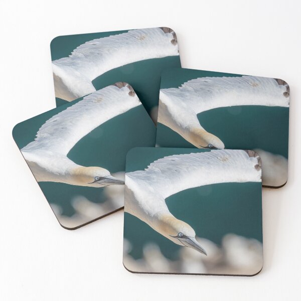 Item preview, Northern Gannet designed and sold by AliMarleyPhoto.