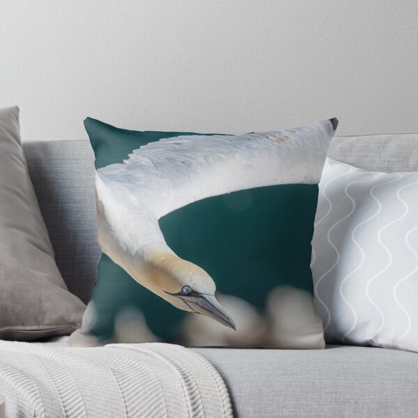 Item preview, Northern Gannet designed and sold by AliMarleyPhoto.