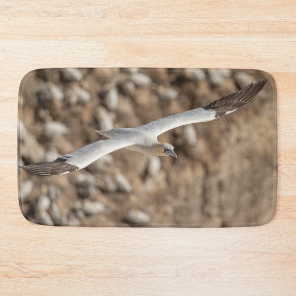 Item preview, Northern Gannet designed and sold by AliMarleyPhoto.