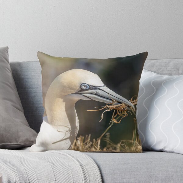 Item preview, Northern Gannet designed and sold by AliMarleyPhoto.
