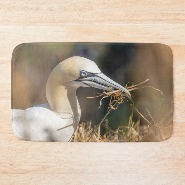 Item preview, Northern Gannet designed and sold by AliMarleyPhoto.