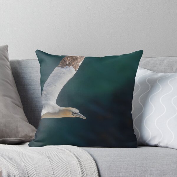 Item preview, Northern Gannet designed and sold by AliMarleyPhoto.