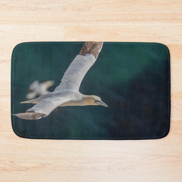 Item preview, Northern Gannet designed and sold by AliMarleyPhoto.