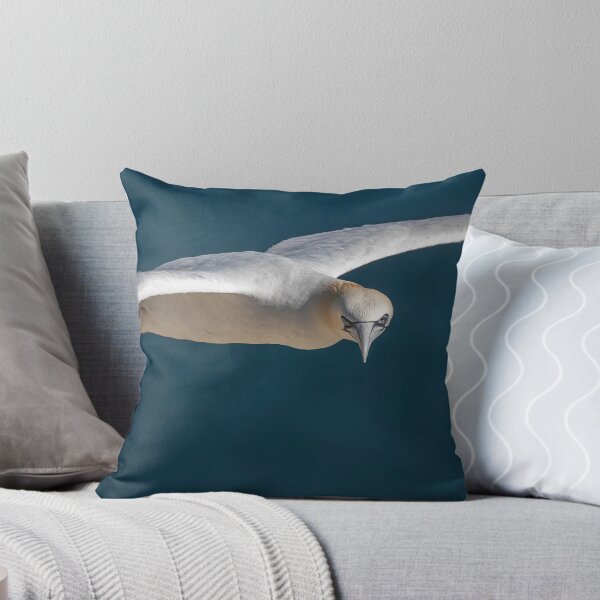 Item preview, Northern Gannet designed and sold by AliMarleyPhoto.