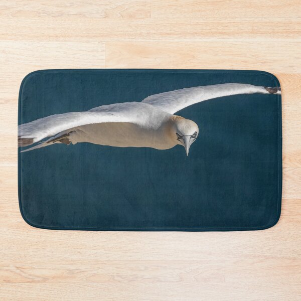 Item preview, Northern Gannet designed and sold by AliMarleyPhoto.