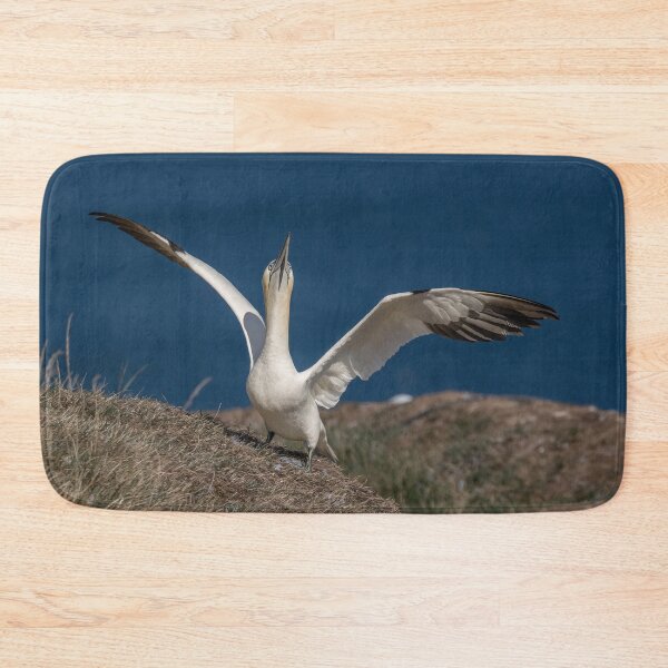 Item preview, Northern Gannet designed and sold by AliMarleyPhoto.