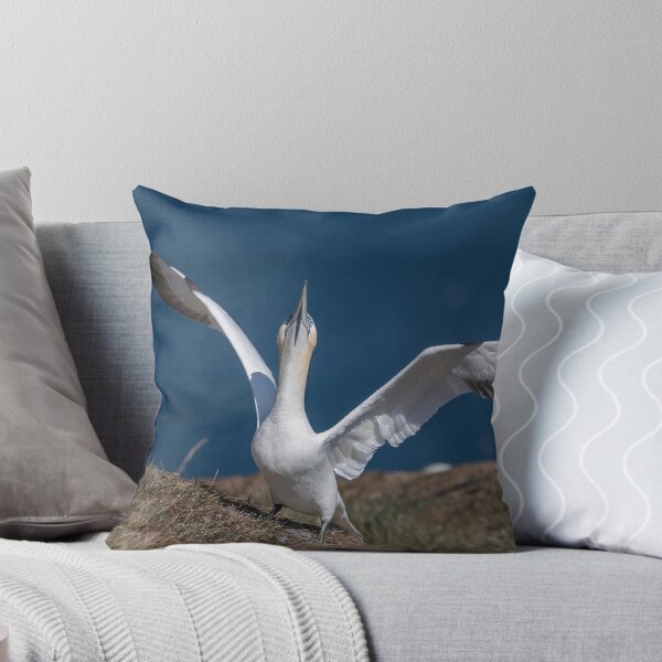 Item preview, Northern Gannet designed and sold by AliMarleyPhoto.