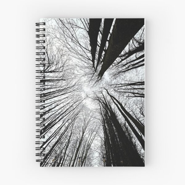 Item preview, Looking Up designed and sold by BreeFarinaPhoto.