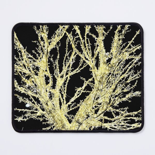 Item preview, Lucca Light Tree designed and sold by BreeFarinaPhoto.