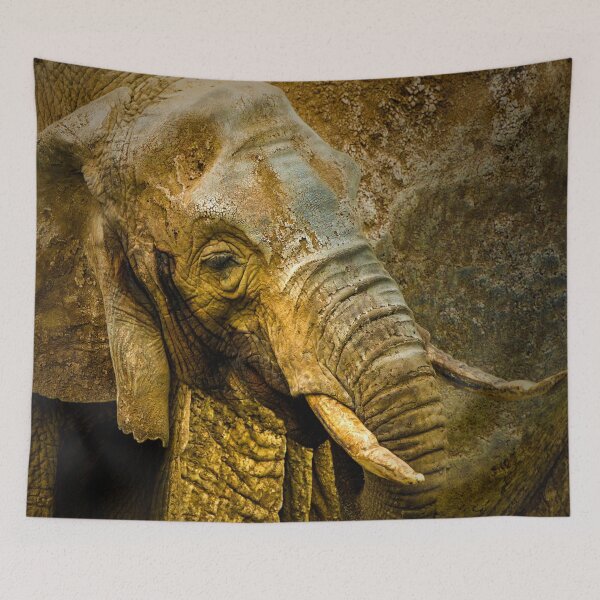 Item preview, Zoology - African Elephant Portrait designed and sold by Alius Imago.