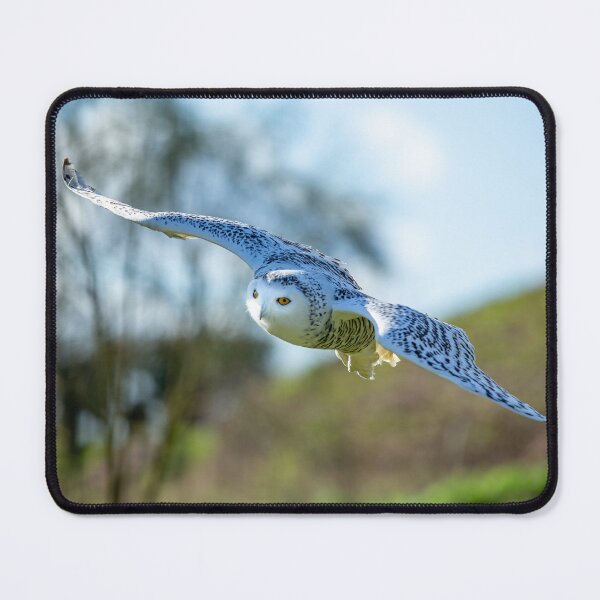 Item preview, Snowy Owl in Flight designed and sold by Dalyndigital Photography.