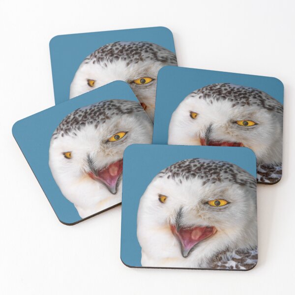 Item preview, Snowy Owl Laugh designed and sold by Dalyndigital Photography.