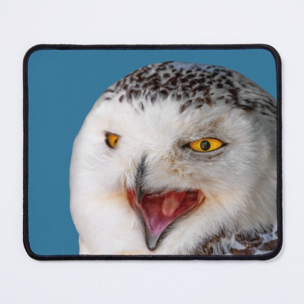 Item preview, Snowy Owl Laugh designed and sold by Dalyndigital Photography.