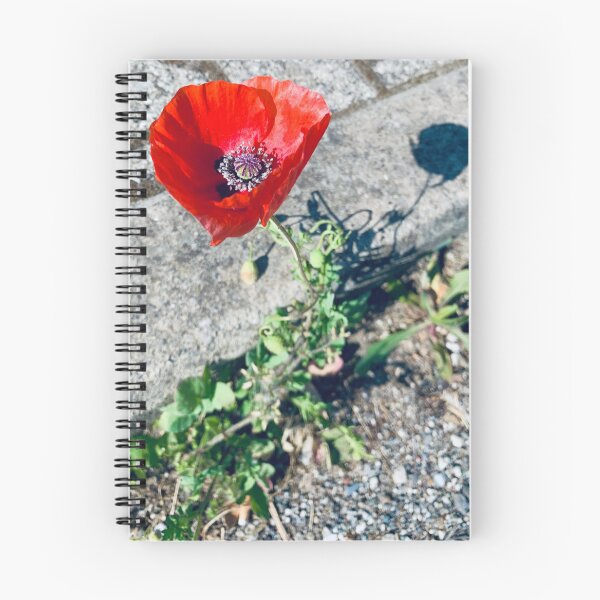 Item preview, Random Poppy designed and sold by BreeFarinaPhoto.