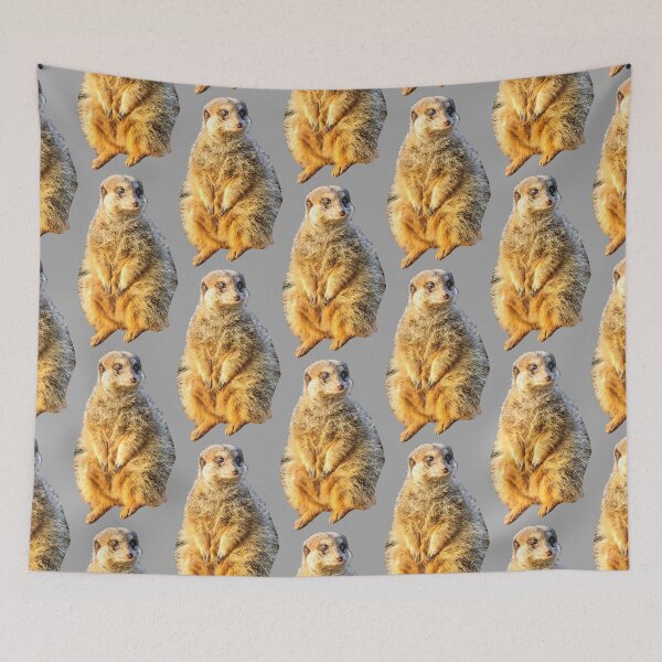 Item preview, Meerkat on guard designed and sold by Dalyndigital Photography.