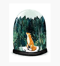 SnowGlobe Fox Photographic Print