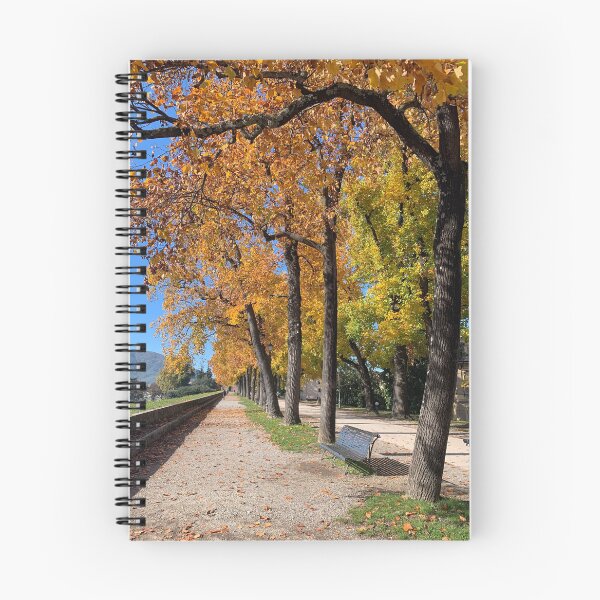 Item preview, Fall on the wall designed and sold by BreeFarinaPhoto.