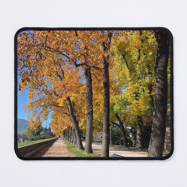 Item preview, Fall on the wall designed and sold by BreeFarinaPhoto.