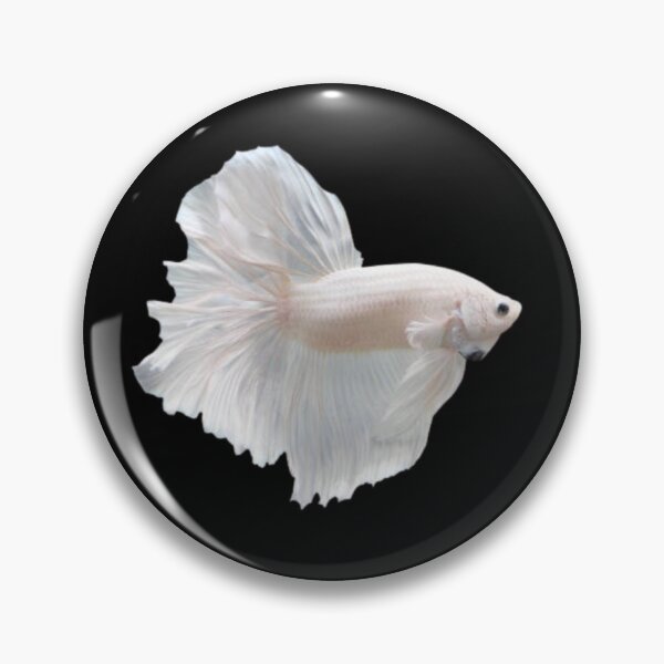 Item preview, White beta fish.  designed and sold by tees-n-treats.