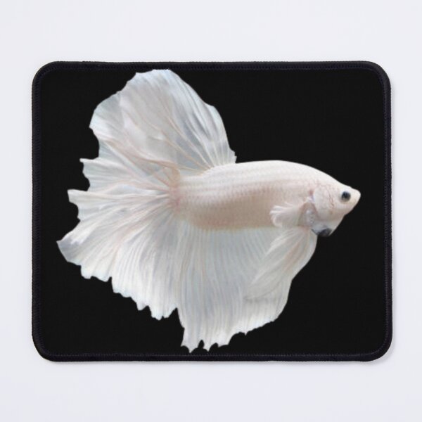 Item preview, White beta fish.  designed and sold by tees-n-treats.