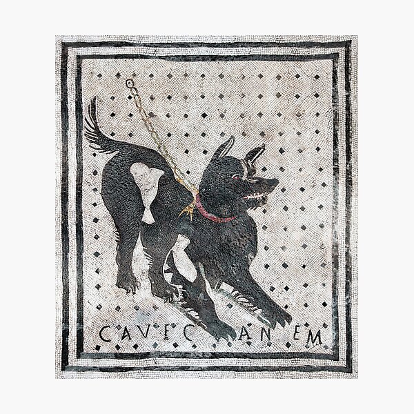 Item preview, Cave Canem, Beware of Dog 2 (HD) designed and sold by star-burst.