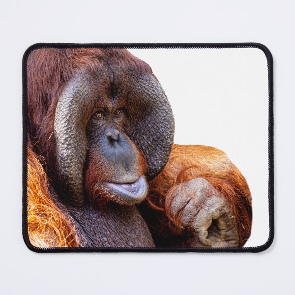Item preview, Old Man Orangutan designed and sold by Dalyndigital Photography.