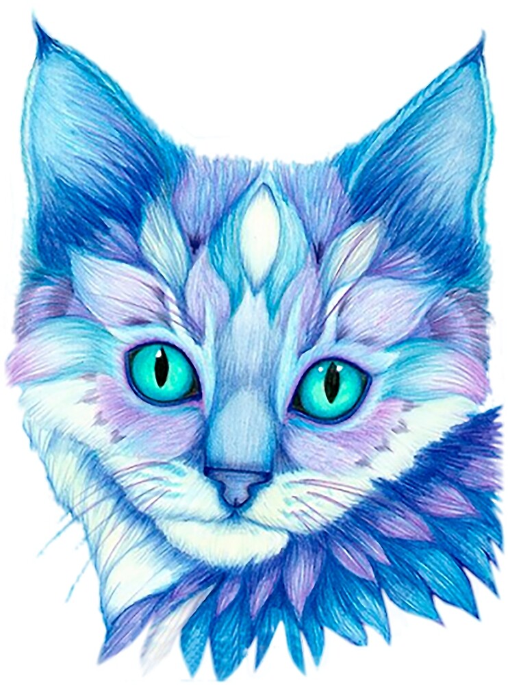 Beau Dessin De Visage De Chat De Couleur Crayon Par Epicgarment Redbubble