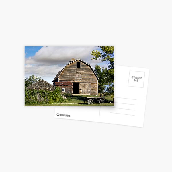 Livery Barn Rowely, Alberta Postcard