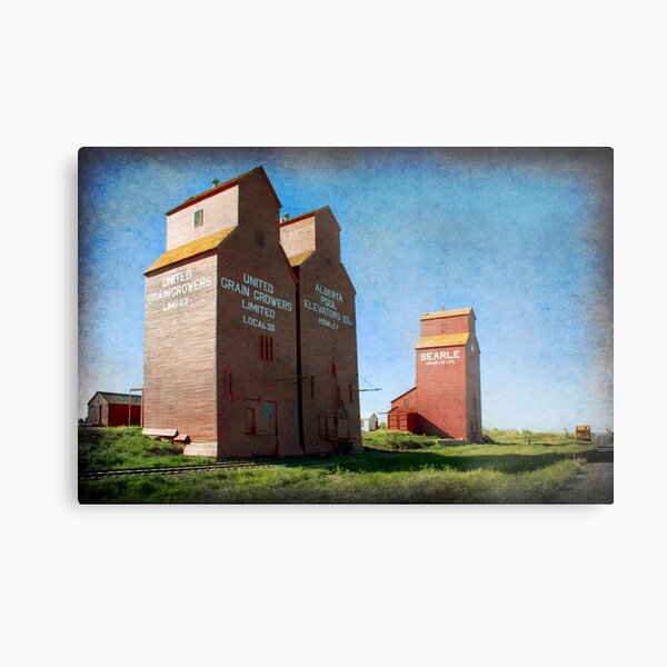 Grain Elevators, Rowley Alberta Metal Print