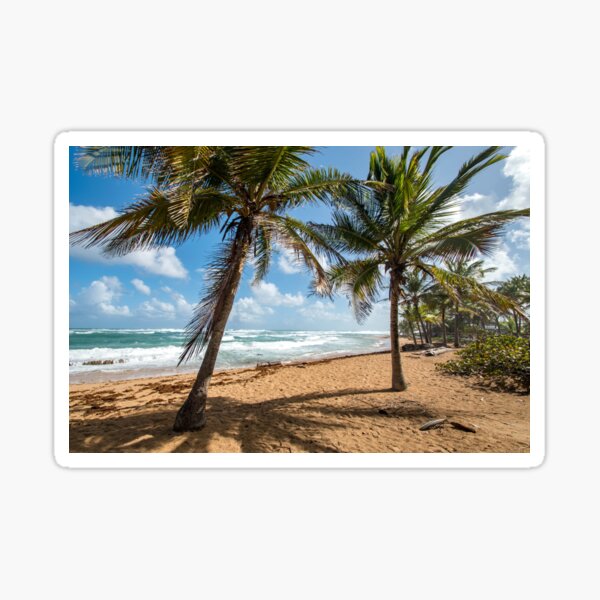 Beach Waves and Palm Trees - Piñones, Puerto Rico Sticker