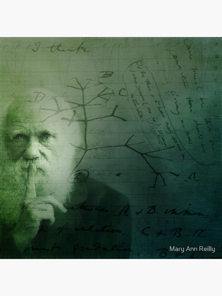 I Think by reilly58