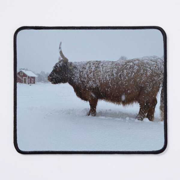 Item preview, Scottish Highland Cattle Cow and sauna 4263 designed and sold by SaarelaHighland.